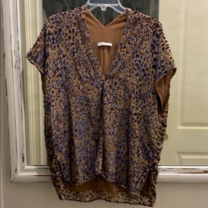 Karlie Velvet Cheetah V-Neck Blouse